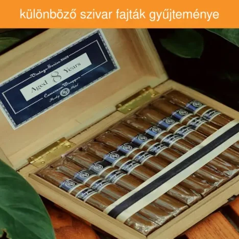 Ollós emelők használata 2025-ben: Amit minden szakembernek tudnia kell